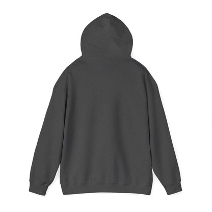 Fruitful Life Hoodie — Cherry Graphic Hooded Sweatshirt
