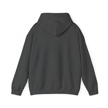 Fruitful Life Hoodie — Cherry Graphic Hooded Sweatshirt
